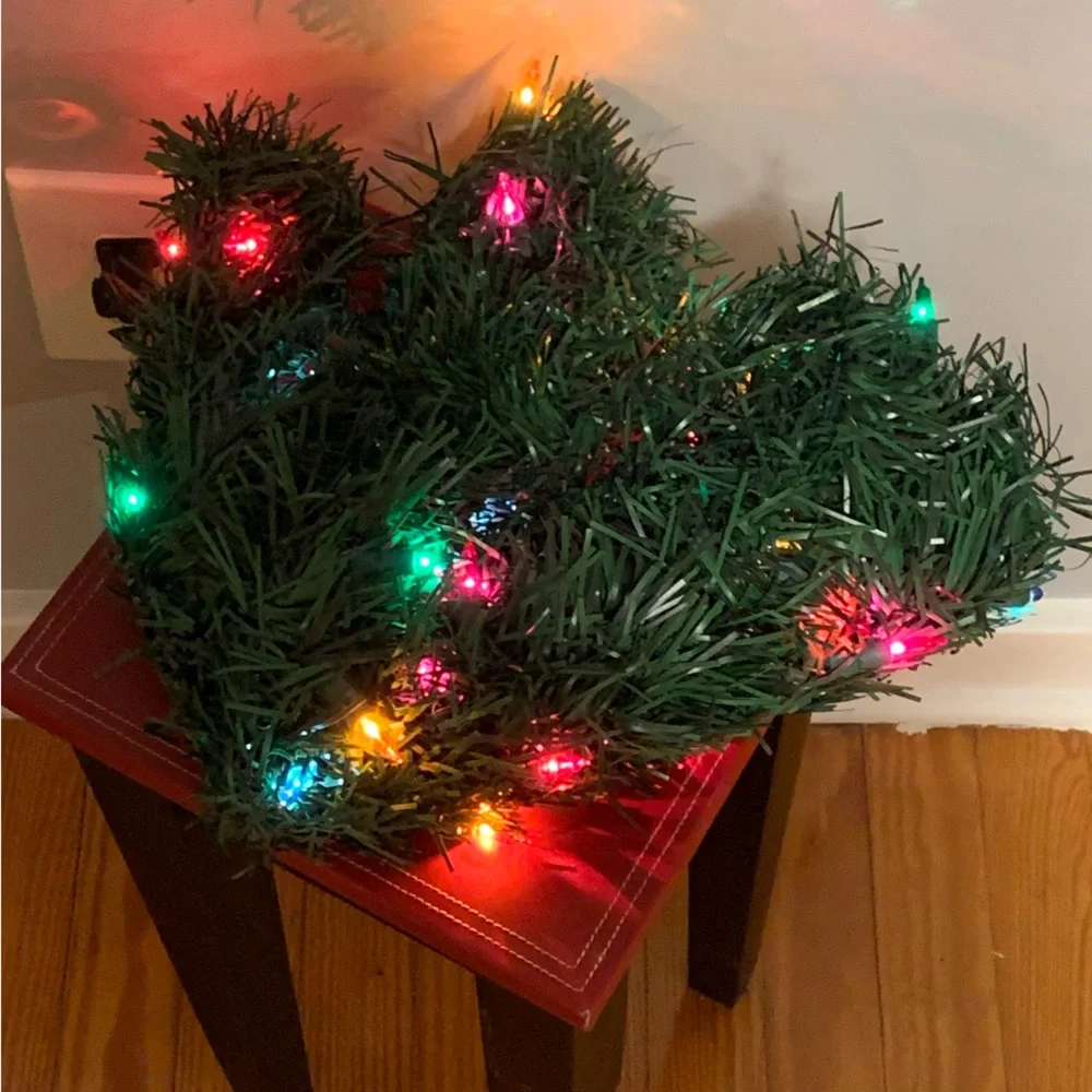 Lighted Garland 15ft. (4.6m), 30 Super Bright Lights, Indoor & Outdoor Use, New!